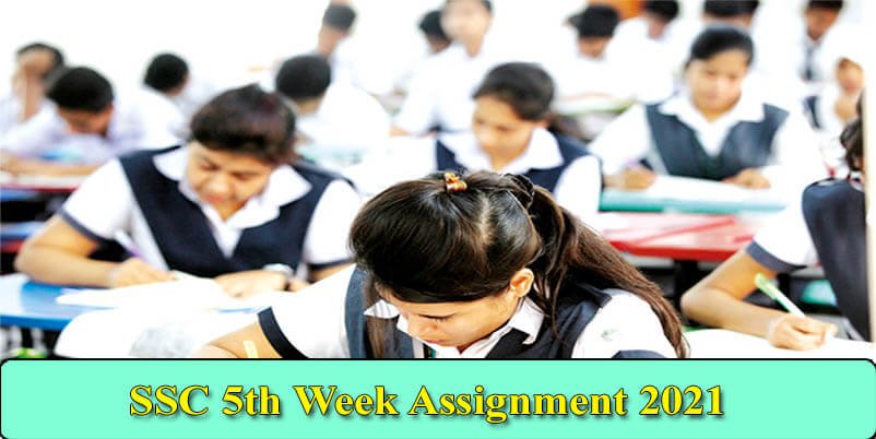 SSC Assignment 2021 5th Week