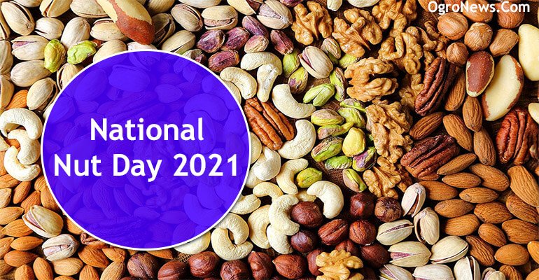 National Nut Day 2021
