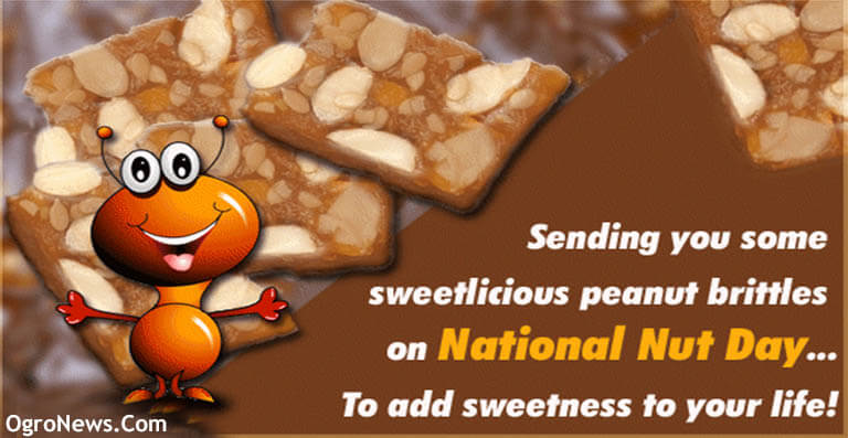 National Nut Day Wishes 2021