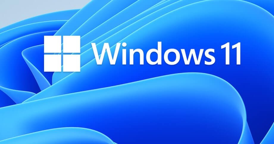 Windows 11 ISO File Download Link